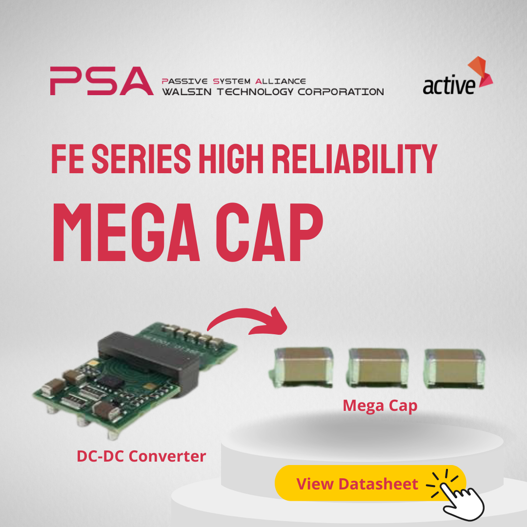 PSA MEGA CAP FE SERIES 