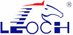 Leoch logo