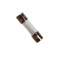 1A 5x20mm GFE NB Normal Blow Fuse