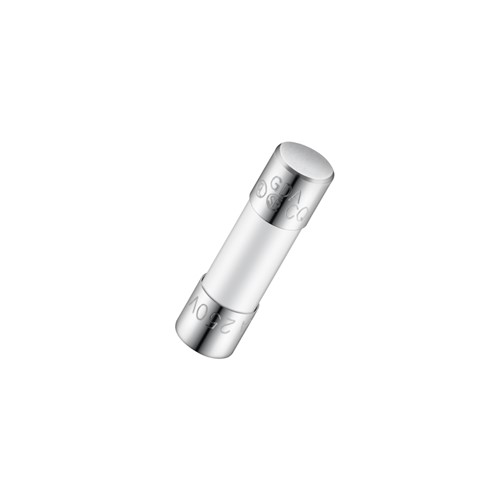 10A 5.2x20mm Time-Lag Ceramic Fuse