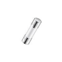 10A 5.2x20mm Time-Lag Ceramic Fuse 10A 5.2x20mm Time-Lag Ceramic Fuse