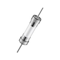 15A 5.2x20mm Time-Lag Ceramic Fuse 15A 5.2x20mm Time-Lag Ceramic Fuse