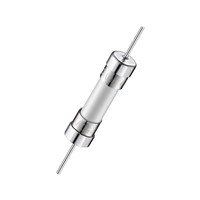 6.3A 5.2x20mm Time-Lag Ceramic Fuse 6.3A 5.2x20mm Time-Lag Ceramic Fuse