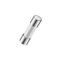 12A 5.2x20mm Time-Lag Ceramic Fuse 12A 5.2x20mm Time-Lag Ceramic Fuse