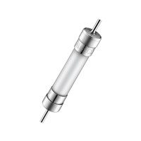 25A 6.3x32mm Fast-Acting Ceramic Fuse-250V 25A 6.3x32mm Fast-Acting Ceramic Fuse-250V