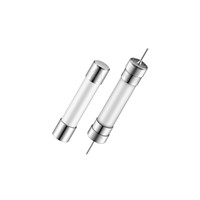 10A 6.3x32mm ADA SB Slow Blow Fuse