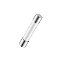 20A 6.3x25.4mm Time-Lag Ceramic Fuse
