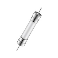 30A 6.3x25.4mm Time-Lag Ceramic Fuse