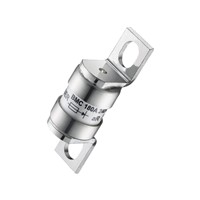 180A 17.4x42mm Power Fuse