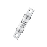 100A 24.1x91.6mm Power Fuse